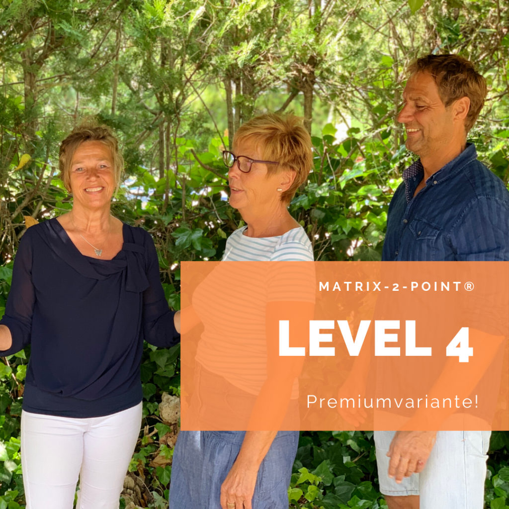 Level 4 Premiumvariante